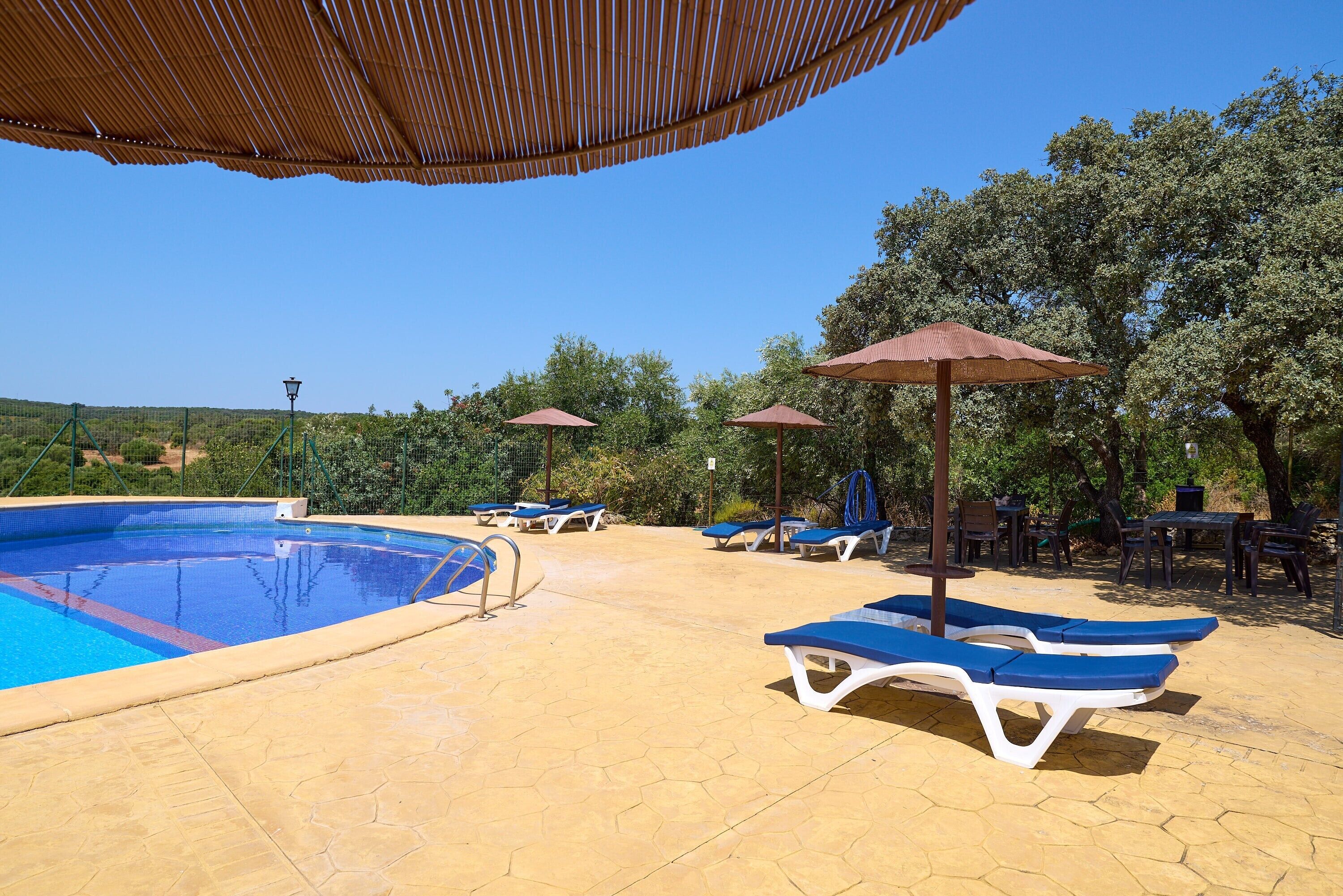 Una piscina con sillas de descanso y sombrillas, rodeada de árboles y un cielo despejado.