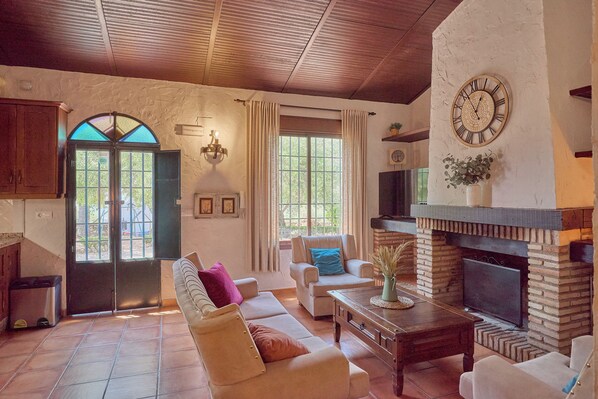 Televisor i llar de foc