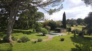 Ein Garten mit Pool, Picknicktisch und einem hohen Baum.