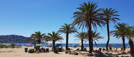 Accommodatie ligt op het strand
