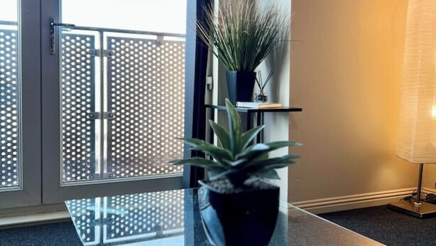 A modern interior with a glass table, potted plants, and a view through a perforated door.
