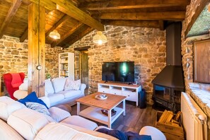 TV, fireplace, video games