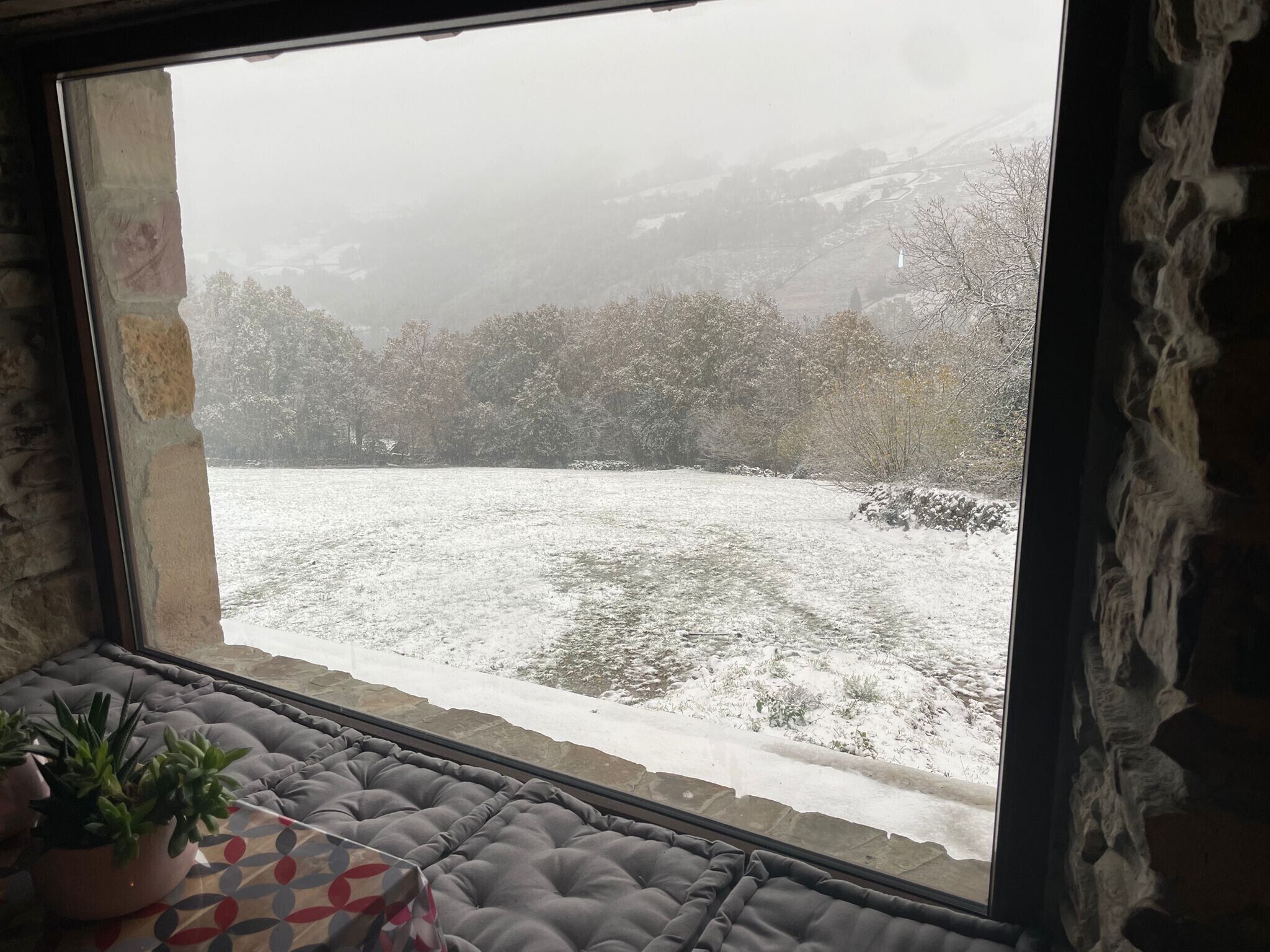 A room with a window overlooking a snowy landscape, a cushioned bench, and a potted plant.