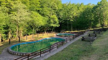 A swimming pool area with wooden benches and a stone pathway.