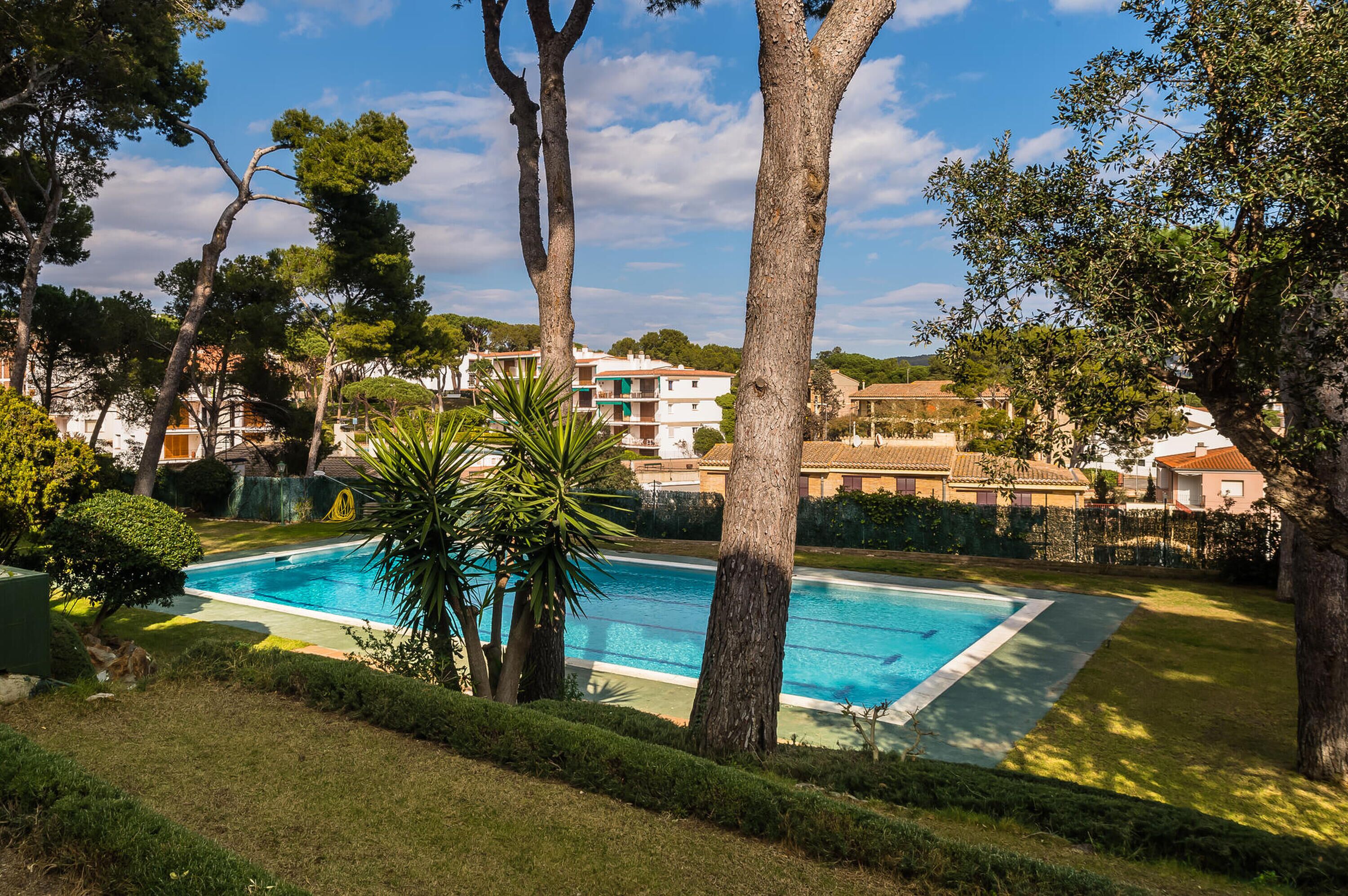 Una piscina rodeada de árboles y una zona residencial con casas al fondo.