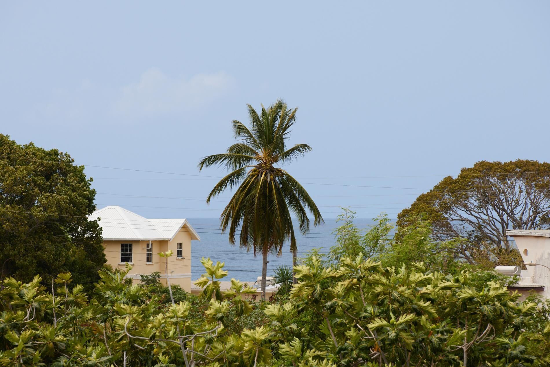 Un bâtiment situé sur la côte, doté d’un toit blanc et entouré d’une végétation luxuriante, avec un palmier à proximité.