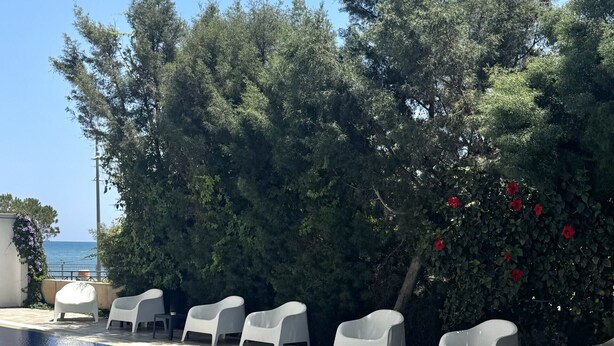 A swimming pool with clear blue water, surrounded by white lounge chairs and greenery. - STAY Sea Gate Apartment (Larnaca)