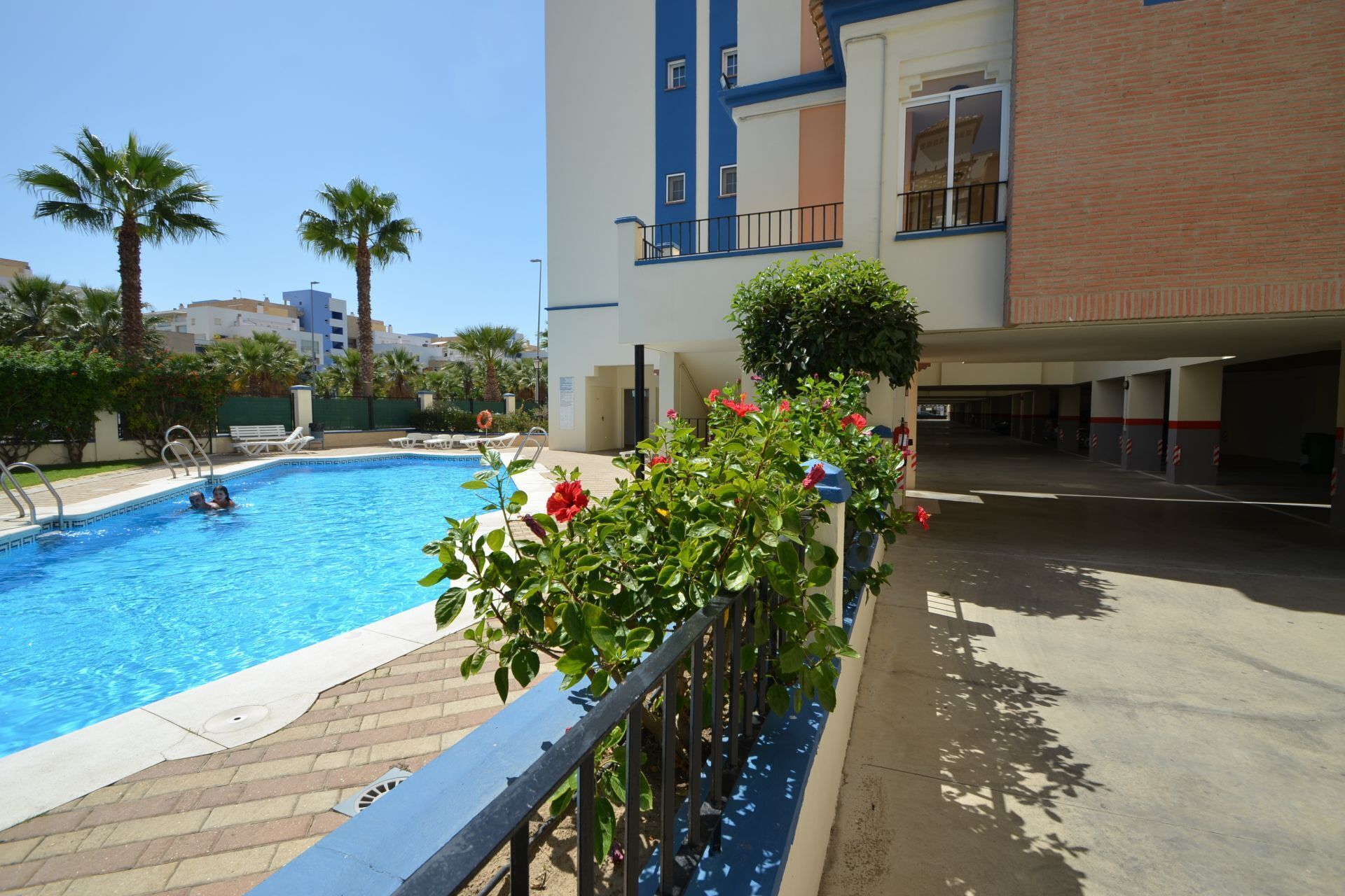 A swimming pool with a blue and white building in the background, surrounded by palm trees and a brick pathway.