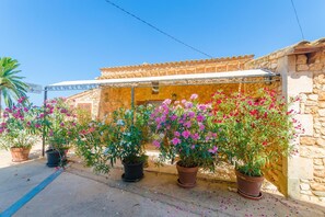 Property grounds - Sa Caseta De Ses Vaques.son Covas - Country House (Campos, Illes Balears)
