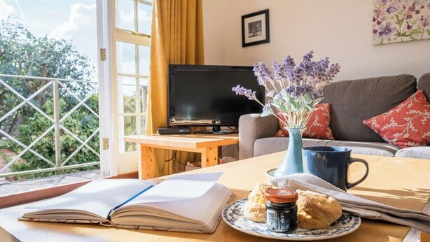 A cozy living room with a sofa, a coffee table with a book, a plate of biscuits, a mug, and a vase of flowers.