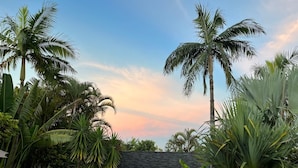 Ein Poolbereich, umgeben von Palmen und tropischer Bepflanzung, mit blauem Himmel im Hintergrund.