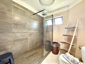 Shower, hair dryer, towels