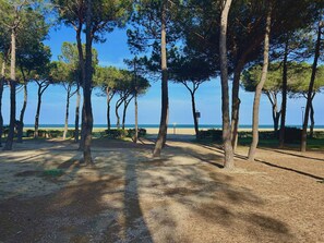 A beachside area with trees and a clear view of the sea. - Charming T3 50m from the beach, Argelès-sur-Mer (Argelès-sur-Mer)