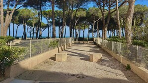 Un sentier bordé d’arbres et délimité par une clôture, qui mène à une plage.