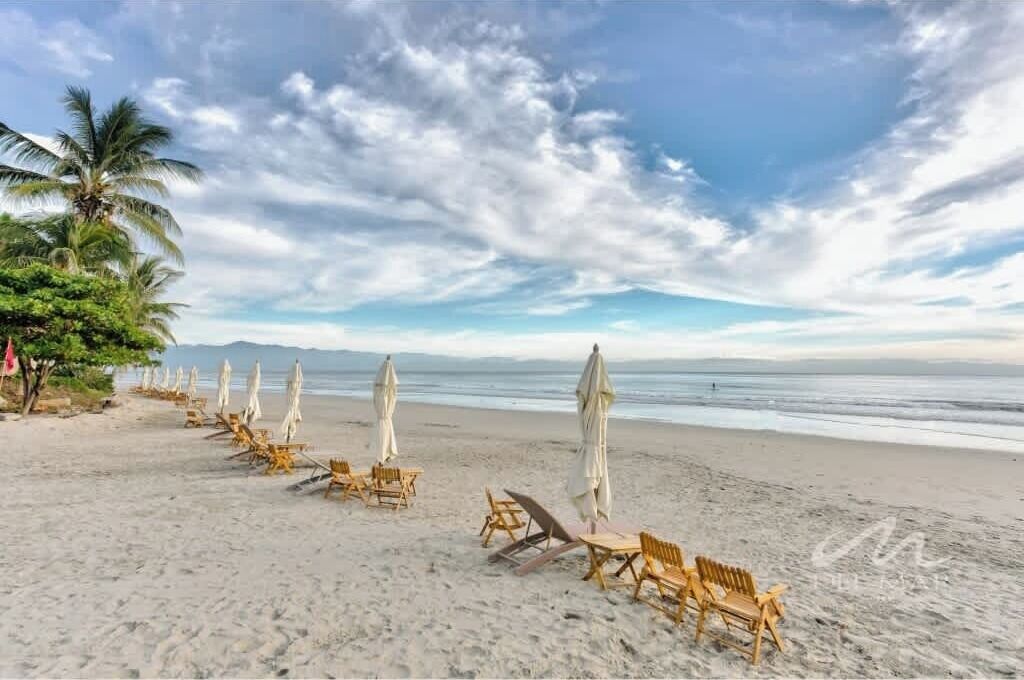Une plage bordée de rangées de chaises longues en bois et de parasols blancs, avec des palmiers et un ciel dégagé.