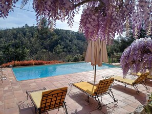 Pool - Le Pijouret - Appt avec piscine privée (Brignoles)