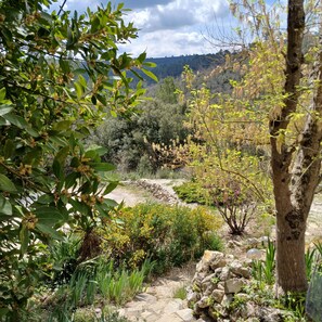 Property grounds - Le Pijouret - Appt avec piscine privée (Brignoles)