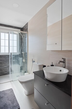 Shower, hair dryer, towels