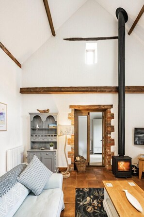 Smart TV y chimenea