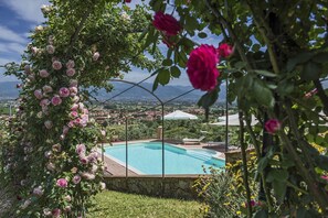 Alberca