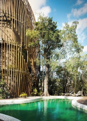 Pool - Luxury, Design, and Nature | 17 Awards | Cancun (Cancún)