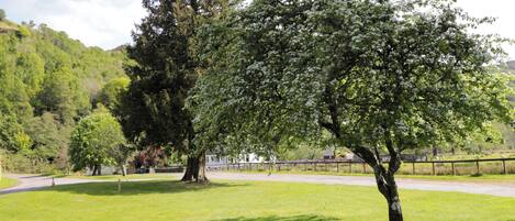 A park with a grassy area, trees, and a fence.