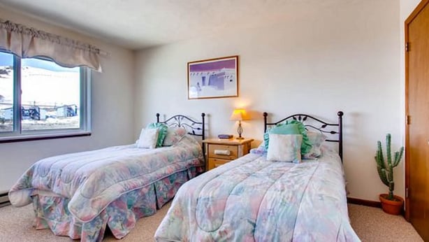 A bedroom with two single beds, a nightstand with a lamp, a window with a view, and a cactus plant. - Crested Butte Mountain Resort Properties by Vail (Crested Butte)
