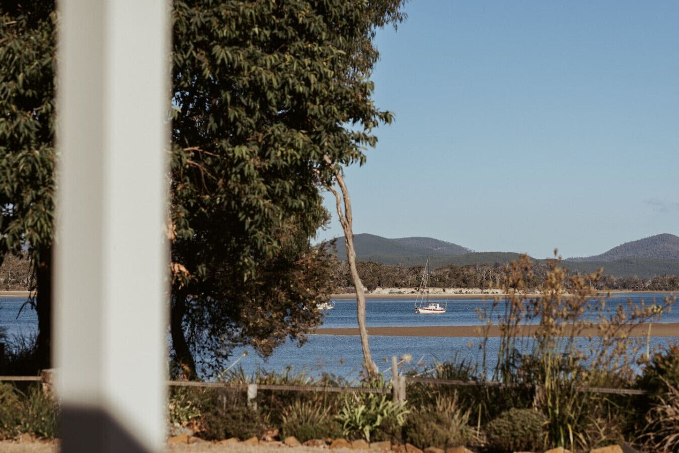A coastal view with a boat on the water, a tree in the foreground, and hills in the background.