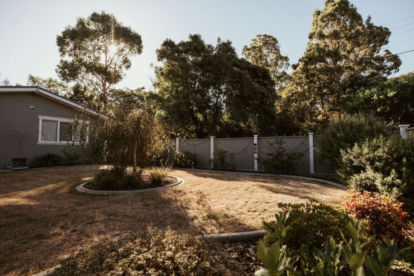 A residential backyard with a house, a fenced area, and various trees and shrubs.
