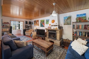 تلفزيون، مدفأة