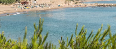 Playa en los alrededores