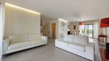 TV, video games, DVD player