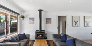 TV, fireplace, DVD player, books