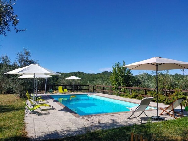 Pool - Cozy cottage with large pool among olive trees on the Chianti hillside (Unknown)