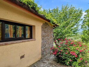Exterior detail - Cozy cottage with large pool among olive trees on the Chianti hillside (Unknown)