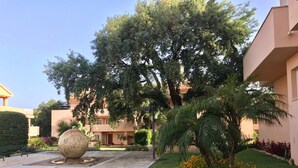 Une cour avec un grand arbre, une sculpture sphérique et un parterre de fleurs.