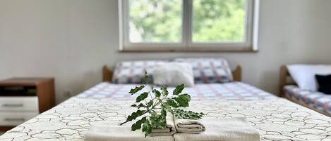 1 bedroom, WiFi, bed sheets