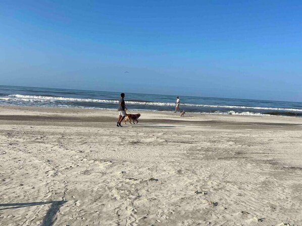 Playa