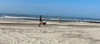 Family Owned/Operated 2 Houses Beachfront Sleeps 16+