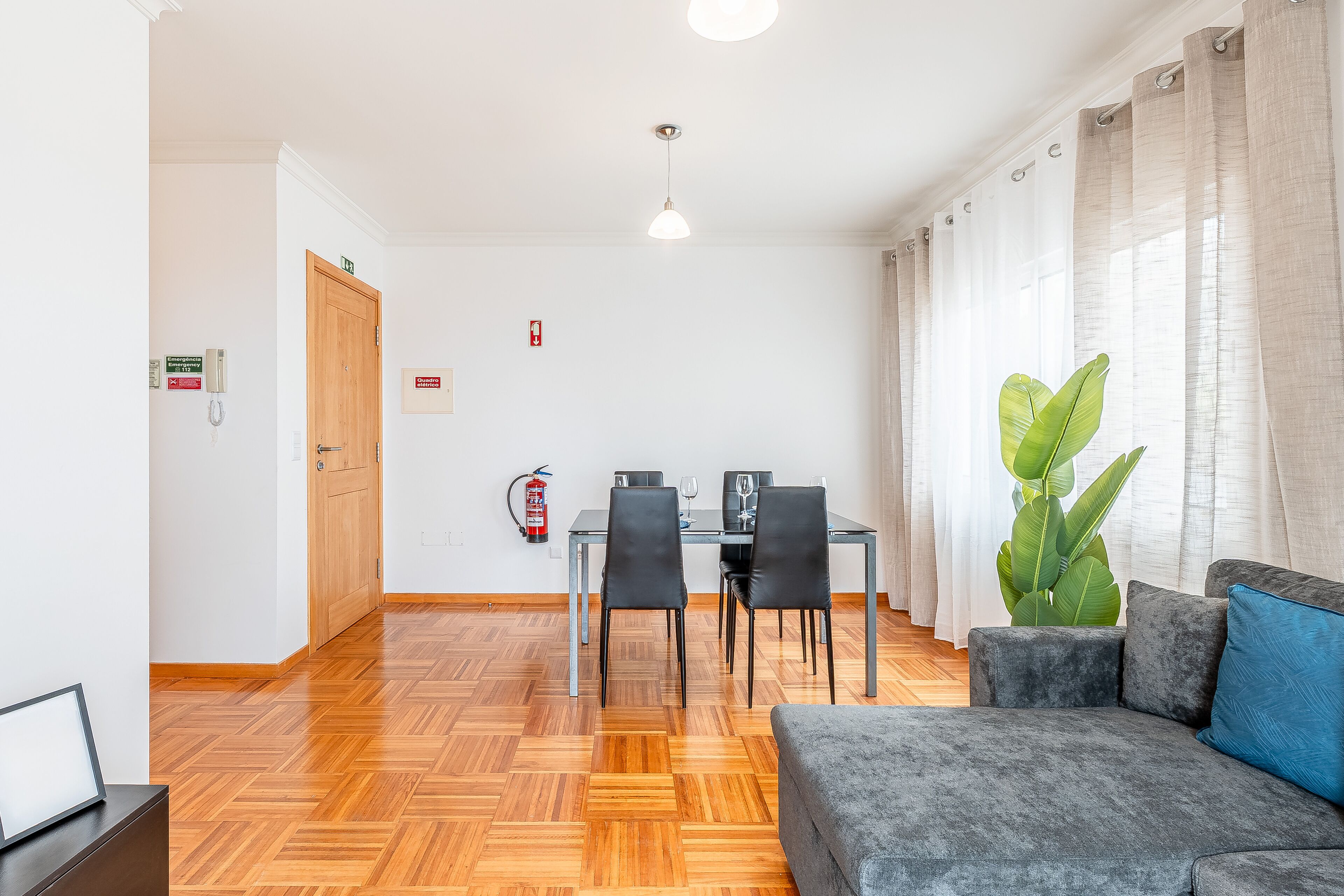 A modern living room with a grey sofa, a dining table with chairs, and a large green plant.