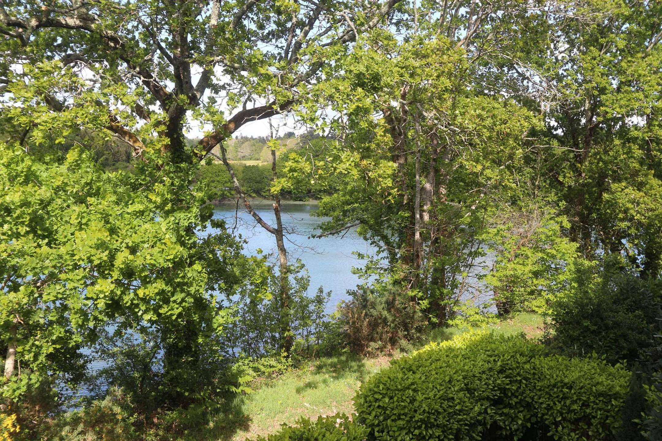 A serene lakeside setting with dense greenery and trees surrounding a calm body of water.