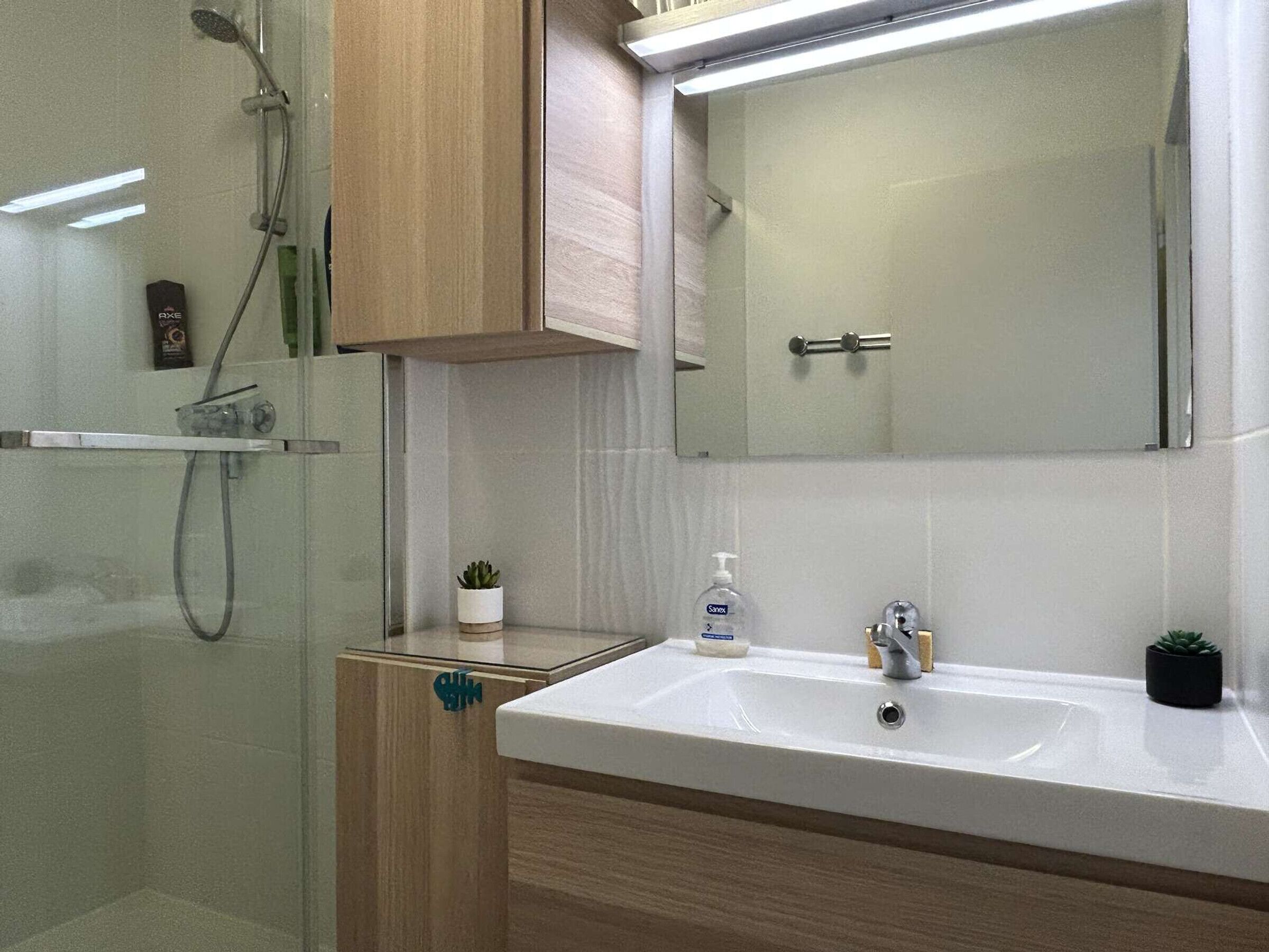 Une salle de bain moderne avec une douche à l’italienne en verre, un lavabo blanc et un miroir au-dessus.