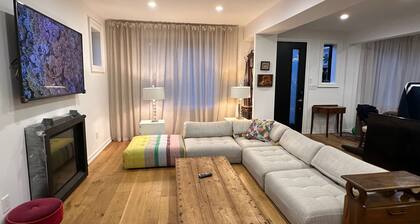 Luxury Trinity Bellwoods 4 bedroom House