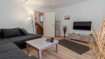 Smart-TV, Kamin, DVD-Player