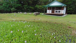 A small pavilion with a green roof and white walls, surrounded by a grassy area with water lilies and rocks. - Camping and parking area for your motor home 2 (Guadalajara)