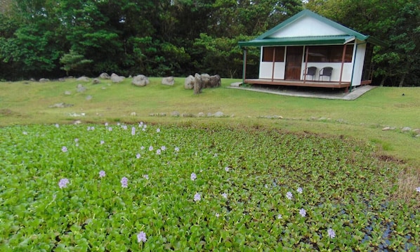 Property grounds - Camping and parking area for your motor home 2 (Guadalajara)