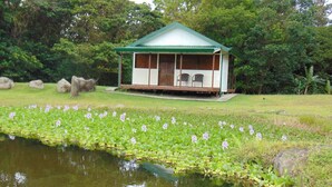 A small, single-story building with a green roof and white walls, situated by a pond with lily pads and water lilies. - Camping and parking area for your motor home 2 (Guadalajara)