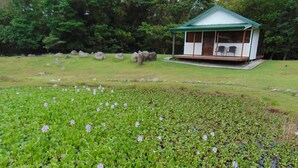 A small pavilion with a green roof and white walls, surrounded by a grassy area with water lilies and rocks. - Camping and RV parking area 5 (Guadalajara)