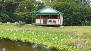 A small, single-story building with a green roof and white walls, situated by a pond with lily pads and water lilies. - Camping and RV parking area 5 (Guadalajara)
