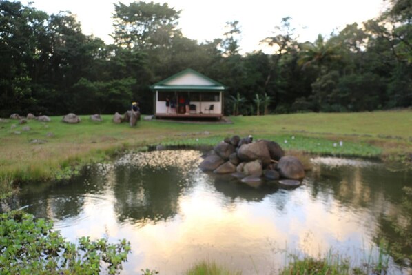 Property grounds - Camping and parking area for your motor home 6 (Guadalajara)